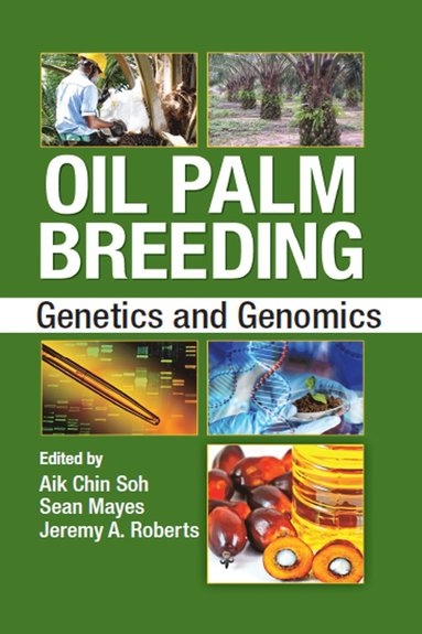 bokomslag Oil Palm Breeding