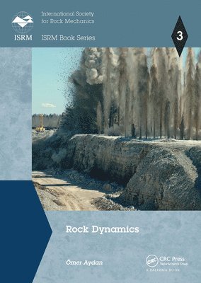 bokomslag Rock Dynamics