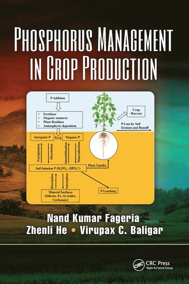 bokomslag Phosphorus Management in Crop Production