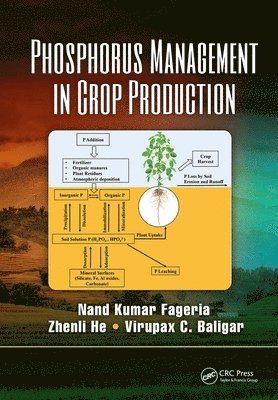 Phosphorus Management in Crop Production