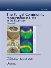 bokomslag The Fungal Community