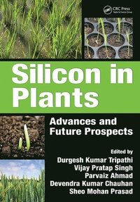 bokomslag Silicon in Plants