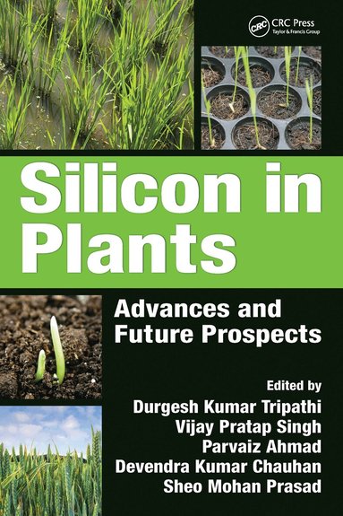 Durgesh Kumar Tripathi, Vijay Pratap Singh, Parvaiz Ahmad, Devendra Kumar Chauhan, Sheo Mohan Prasad - Silicon in Plants, Häftad