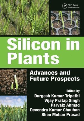 Silicon in Plants 1