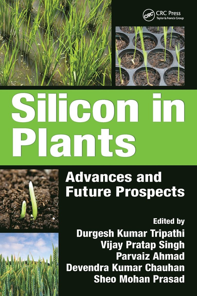 Silicon in Plants 1