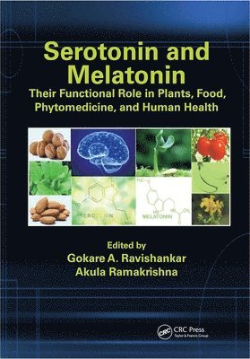 bokomslag Serotonin and Melatonin