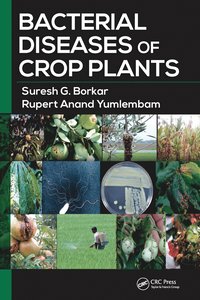 bokomslag Bacterial Diseases of Crop Plants