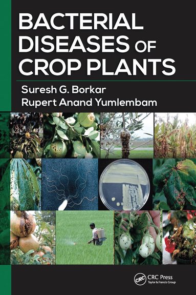 Suresh G. Borkar, Rupert Anand Yumlembam - Bacterial Diseases of Crop Plants, Häftad