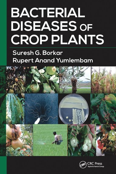 bokomslag Bacterial Diseases of Crop Plants