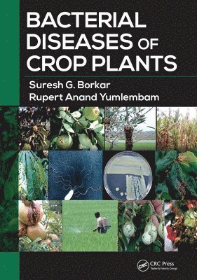 Bacterial Diseases of Crop Plants 1