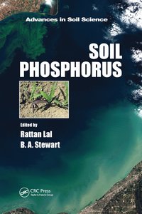 bokomslag Soil Phosphorus