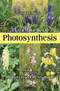 bokomslag Handbook of Photosynthesis