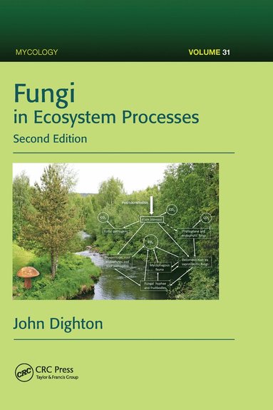 bokomslag Fungi in Ecosystem Processes