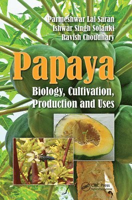 Papaya 1