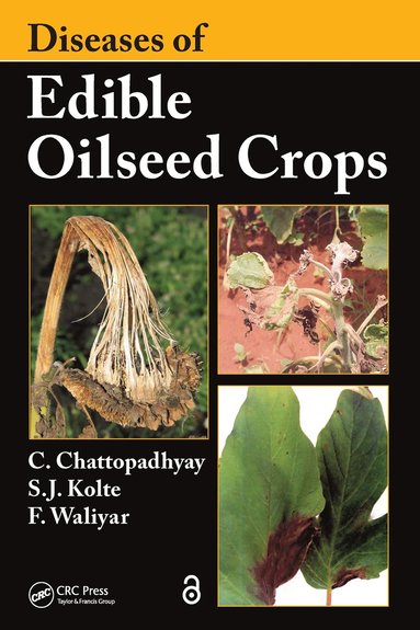 bokomslag Diseases of Edible Oilseed Crops