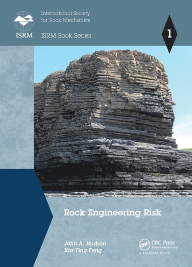 bokomslag Rock Engineering Risk