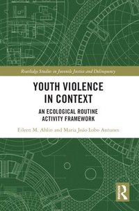 bokomslag Youth Violence in Context