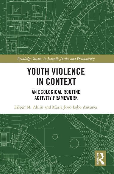 Eileen M. Ahlin, Maria João Lobo Antunes - Youth Violence in Context, Häftad