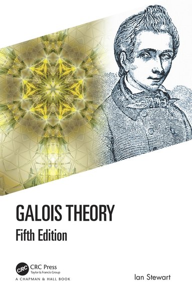 bokomslag Galois Theory