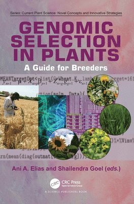 Genomic Selection in Plants