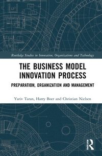 bokomslag The Business Model Innovation Process