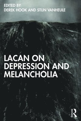 bokomslag Lacan on Depression and Melancholia