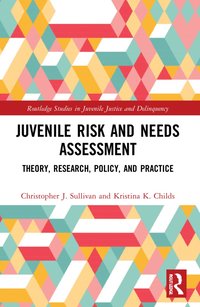 bokomslag Juvenile Risk and Needs Assessment