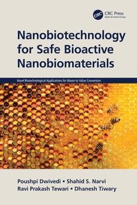 bokomslag Nanobiotechnology for Safe Bioactive Nanobiomaterials