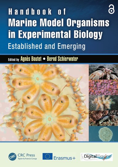 bokomslag Handbook of Marine Model Organisms in Experimental Biology