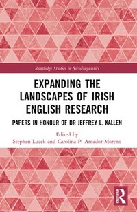 bokomslag Expanding the Landscapes of Irish English Research