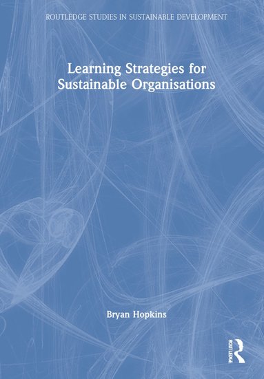 bokomslag Learning Strategies for Sustainable Organisations