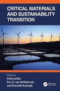 bokomslag Critical Materials and Sustainability Transition