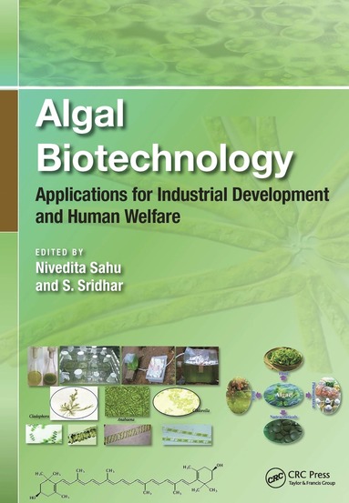 bokomslag Algal Biotechnology