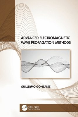 Advanced Electromagnetic Wave Propagation Methods 1