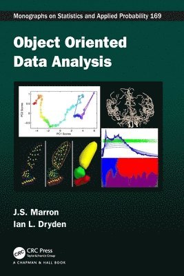 bokomslag Object Oriented Data Analysis