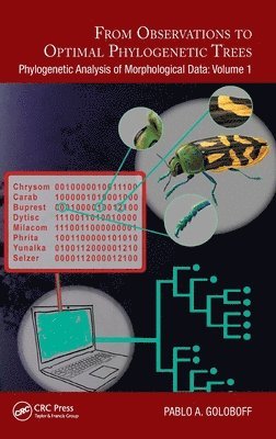 bokomslag From Observations to Optimal Phylogenetic Trees