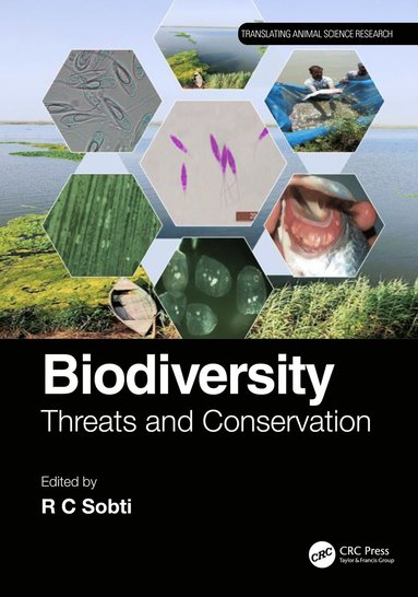 bokomslag Biodiversity