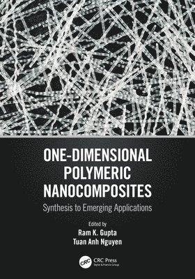 bokomslag One-Dimensional Polymeric Nanocomposites