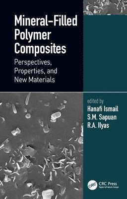 bokomslag Mineral-Filled Polymer Composites