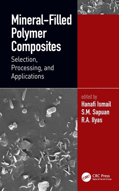 bokomslag Mineral-Filled Polymer Composites