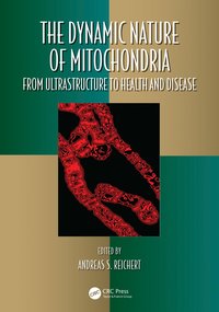 bokomslag Dynamic Nature of Mitochondria