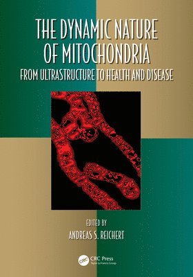 The Dynamic Nature of Mitochondria 1