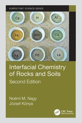 Interfacial Chemistry of Rocks and Soils 1