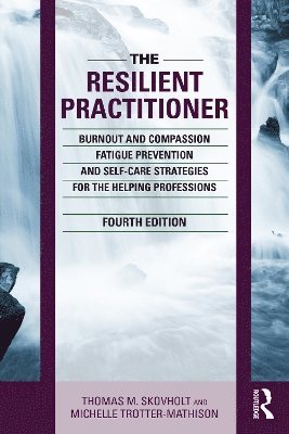 The Resilient Practitioner 1