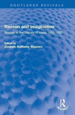 bokomslag Reason and Imagination