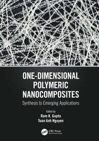 bokomslag One-Dimensional Polymeric Nanocomposites