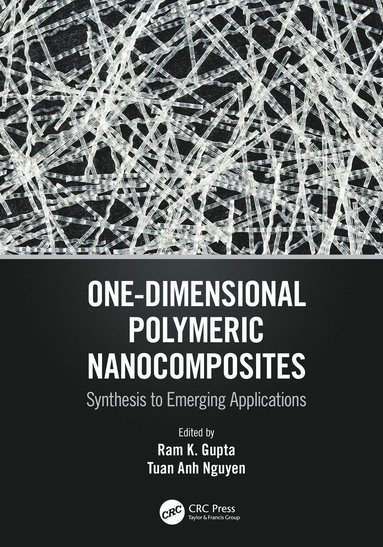 bokomslag One-Dimensional Polymeric Nanocomposites