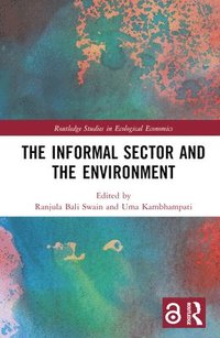 bokomslag The Informal Sector and the Environment