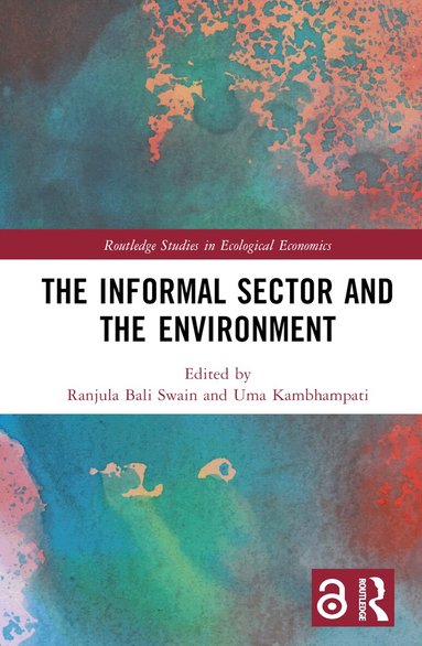 Ranjula Bali Swain, Uma Kambhampati - Informal Sector and the Environment, Inbunden