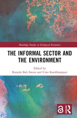 The Informal Sector and the Environment 1